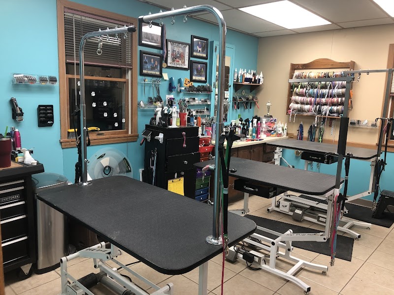 Pampered Paws-N-Claws - Claridge, PA