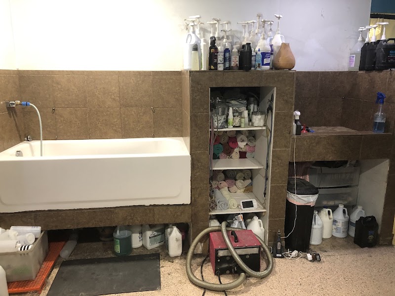 Pampered Paws-N-Claws - Claridge, PA