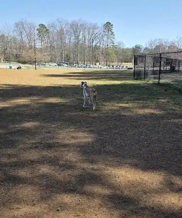 Tanglewood Dog Park - Clemmons, NC