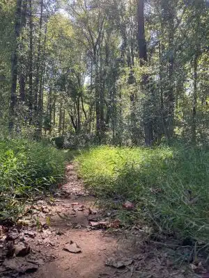 Tanglewood Dog Park - Clemmons, NC
