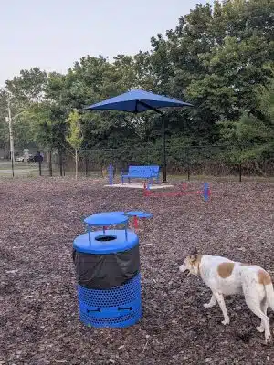 Avery Johnson Park