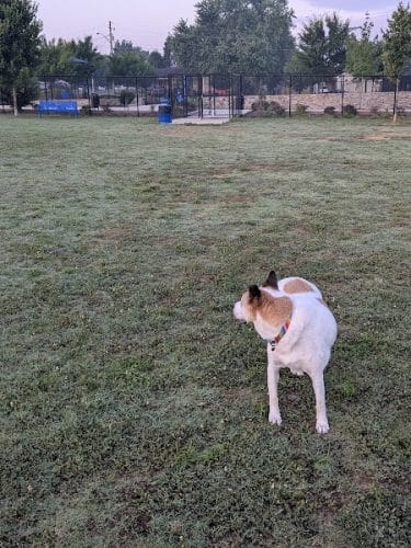 Avery Johnson Park