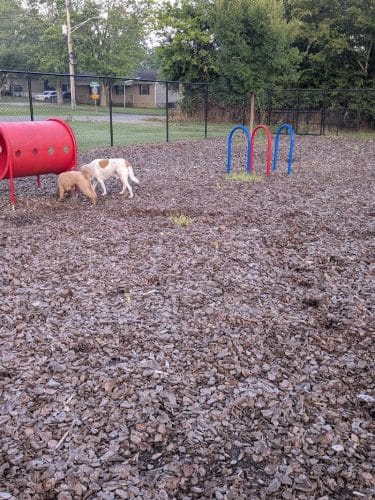 Avery Johnson Park