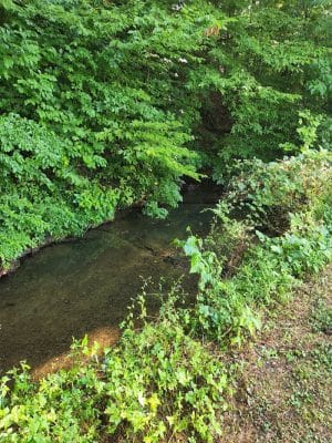 Freewill - Candies Creek Walking Trail