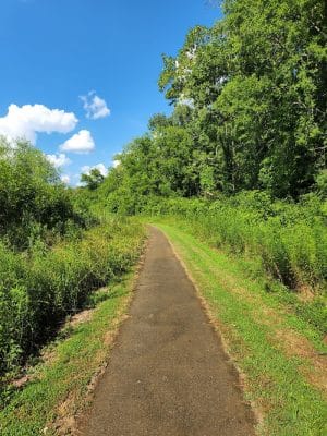 Freewill - Candies Creek Walking Trail