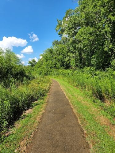 Freewill - Candies Creek Walking Trail