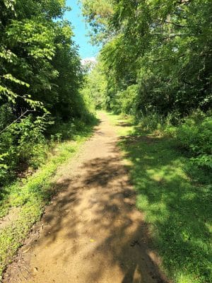 Freewill - Candies Creek Walking Trail