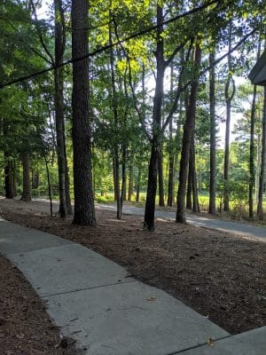 Tinsley Park Dog Park