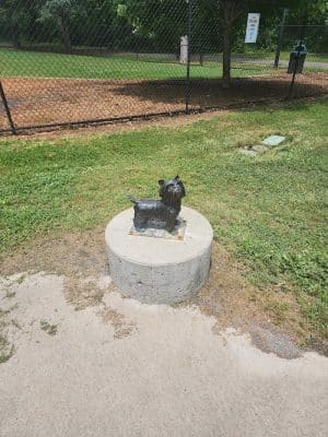Tinsley Park Dog Park
