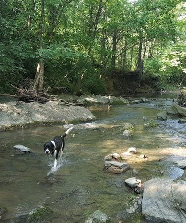 Tinsley Park Dog Park