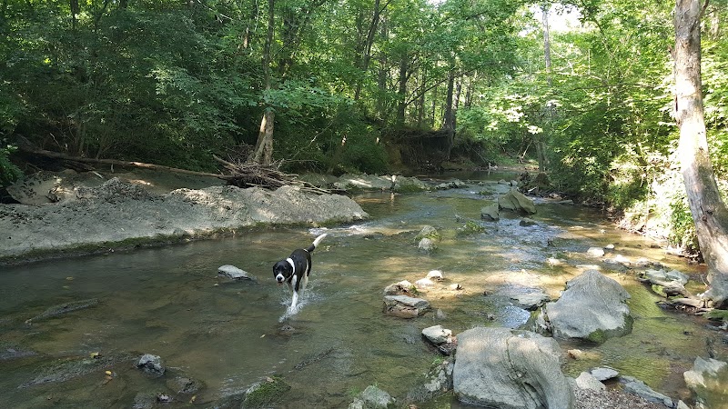 Tinsley Park Dog Park - Cleveland, TN