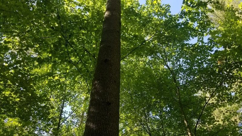 Kinns Road Park - Clifton Park, NY