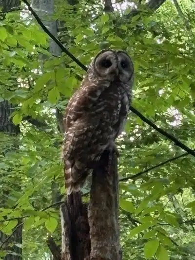 Kinns Road Park - Clifton Park, NY