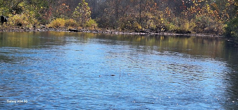 Archey Fork Park - Clinton, AR
