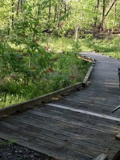 South Fork Nature Center - Clinton, AR