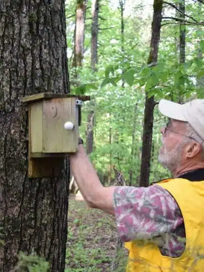 South Fork Nature Center - Clinton, AR