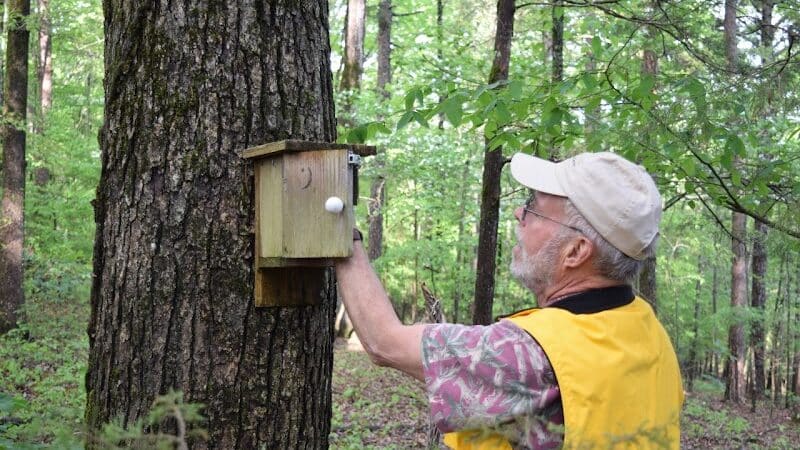South Fork Nature Center - Clinton, AR