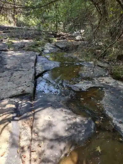 South Fork Nature Center Trail - Clinton, AR