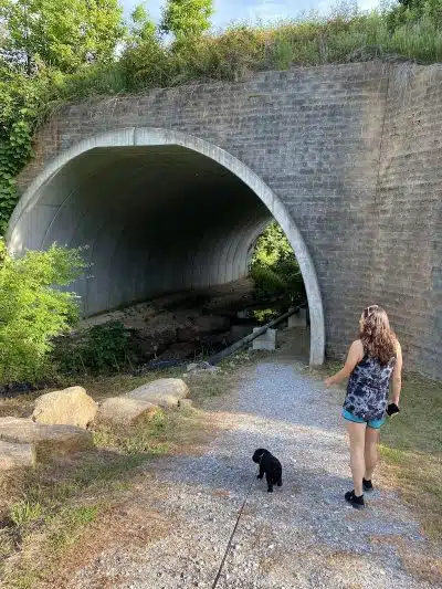 Millers Fork trail - Clinton, SC