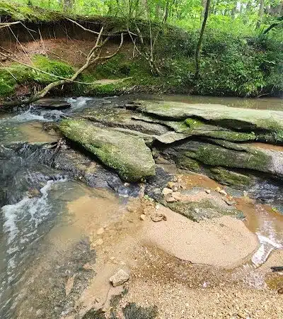 Millers Fork trail - Clinton, SC