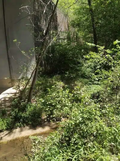 Millers Fork trail - Clinton, SC