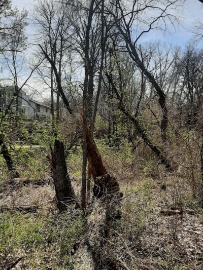 Greenbelt Trail - Clive, IA