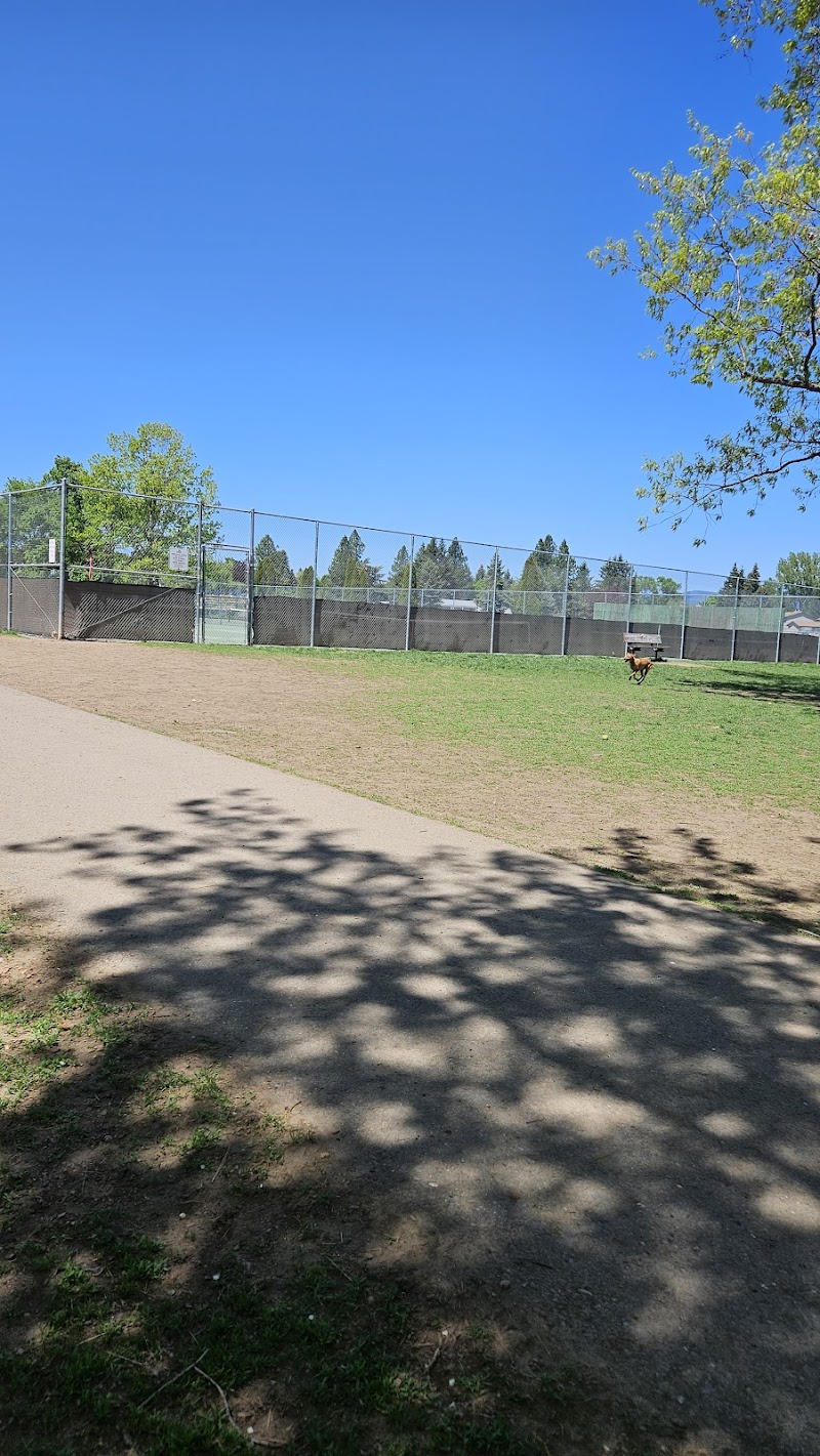 Central Bark Dog Park