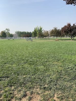 Central Bark Dog Park