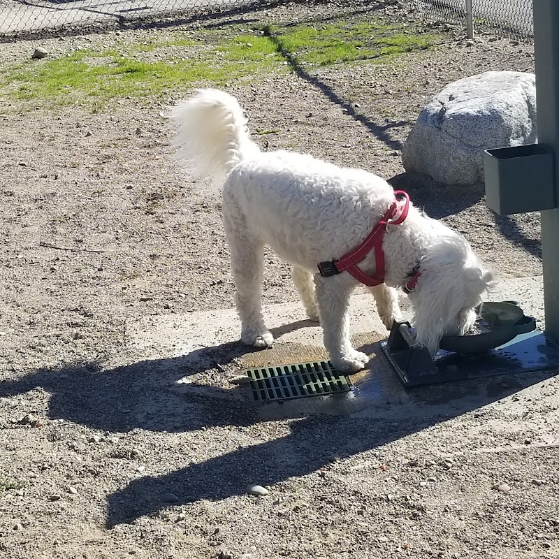 Cherry Hill Dog Park