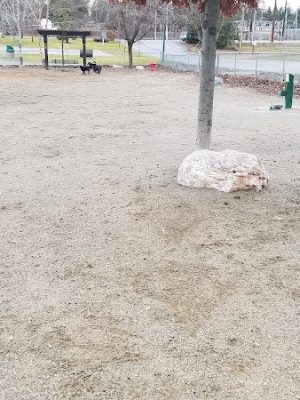 Cherry Hill Dog Park