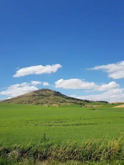 Steptoe Butte State Park Heritage Site - Colfax, WA