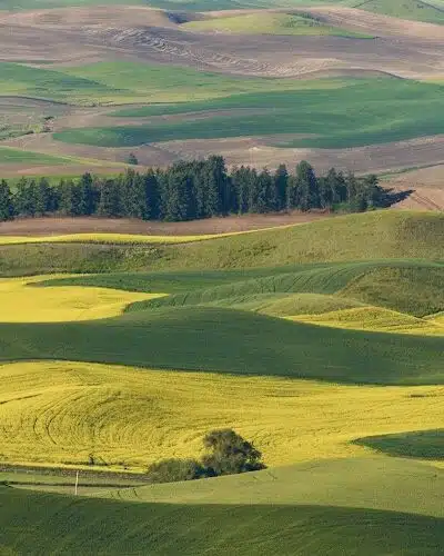 Steptoe Butte State Park Heritage Site - Colfax, WA