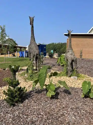 Imagination Station Playground