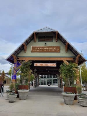 The Commons