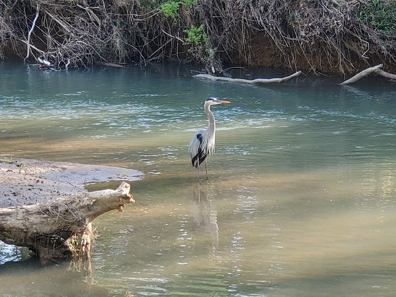 Wolftever Creek Greenway - Collegedale, TN