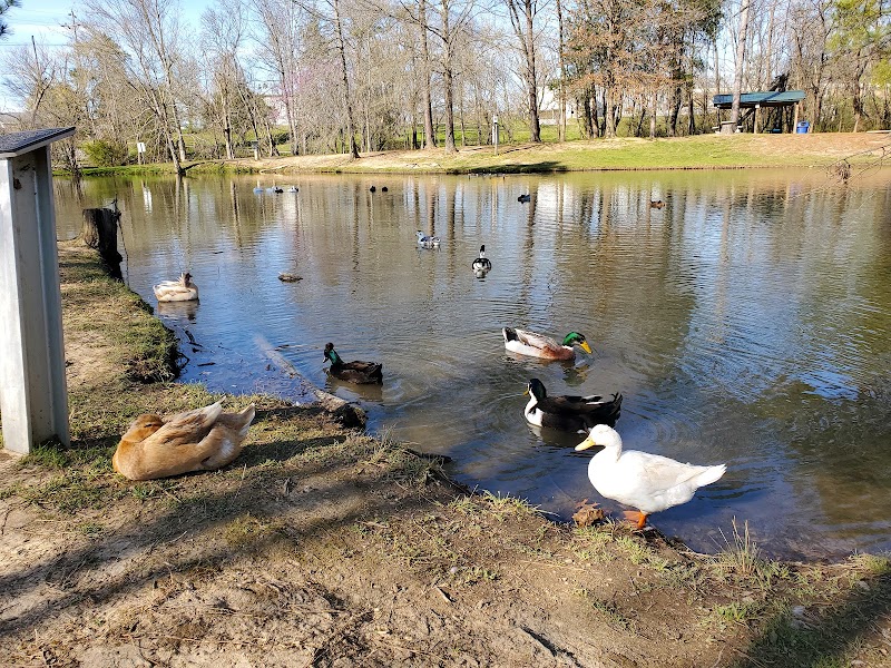 Wolftever Creek Greenway - Collegedale, TN