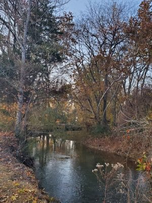 Wolftever Creek Greenway