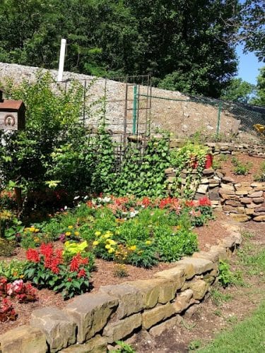 Wolftever Creek Greenway