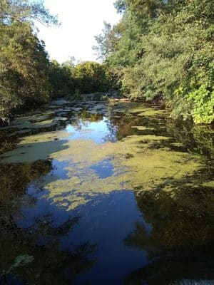 Old Colona Park