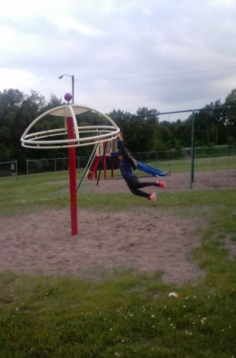 Old Colona Park - Colona, IL