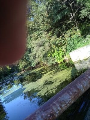 Old Colona Park