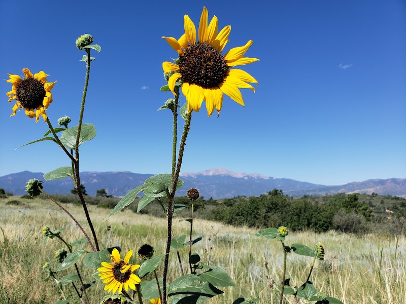 Palmer Park (Yucca Flats Trailhead) - Colorado Springs, CO