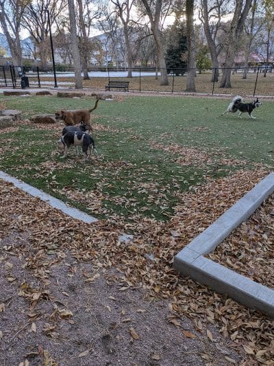 Antlers Dog Park - Colorado Springs, CO