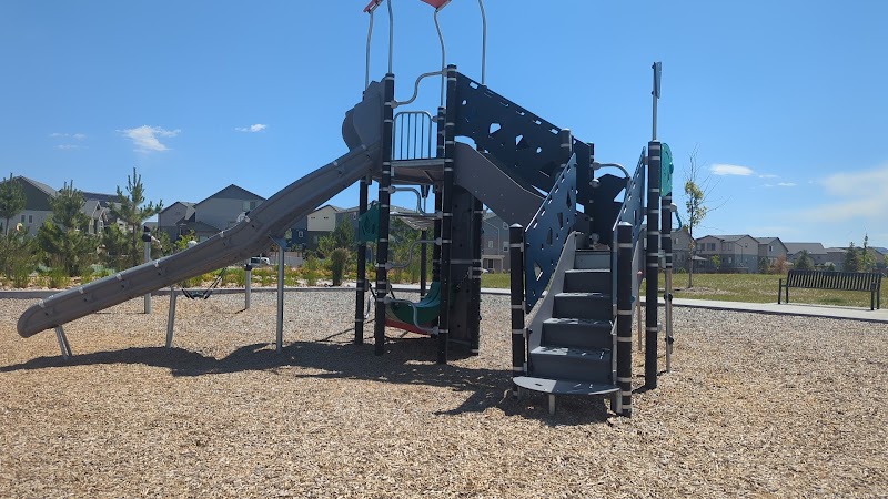 Ashmore - Colorado Springs, CO
