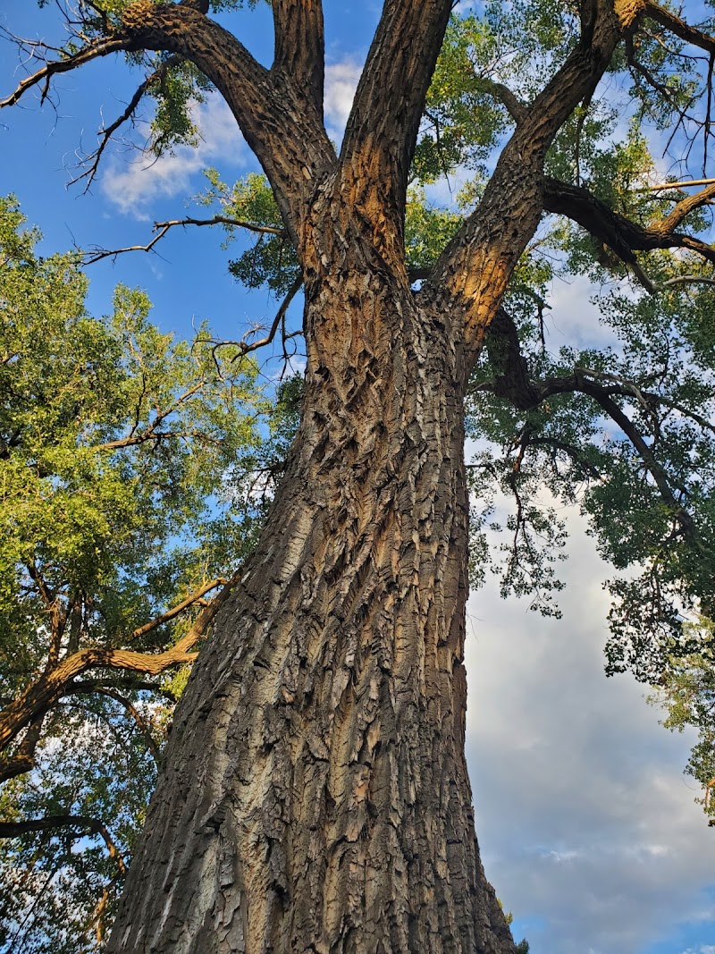Franklin Park - Colorado Springs, CO