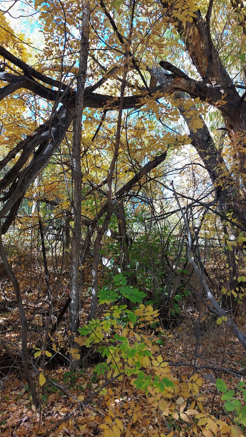 Harlan Wolfe Park - Colorado Springs, CO