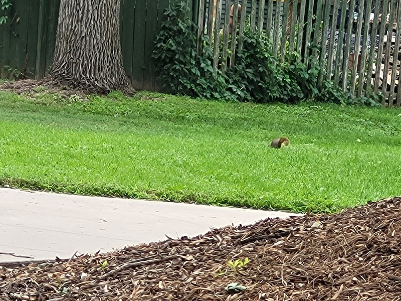 John "Prairie Dog" O'Byrne Park - Colorado Springs, CO