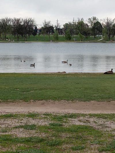 Memorial Park - Colorado Springs, CO