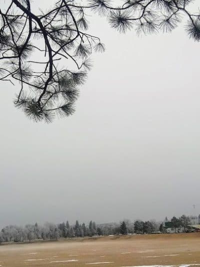Memorial Park Pavilions A-C - Colorado Springs, CO