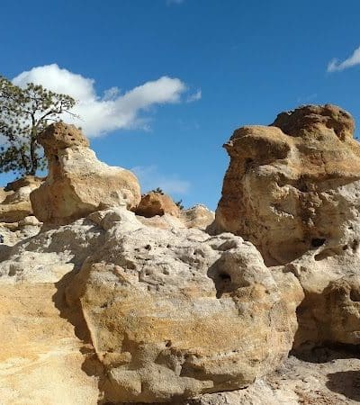 Palmer Park - Colorado Springs, CO